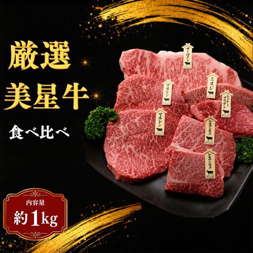 岡山県産 黒毛和牛 美星牛 贅沢ステーキ食べ比べセット 約1kg 国産 牛肉【msmt005-01】