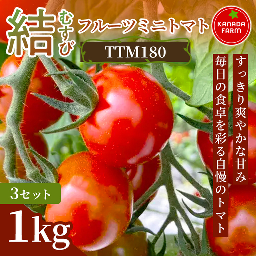 [先行予約]結(むすび)フルーツミニトマト(TTM180)1kg 3セット 甘い野菜 デザート感覚 おやつ スイーツ感覚 サラダ用 そのまま食べる 旬 家庭用 贈り物 すっきり爽やかな甘み お取り寄せ 産地直送 愛知県 豊橋市