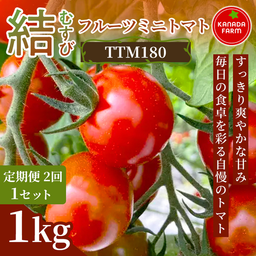 [先行予約][定期便2ヶ月](むすび)フルーツミニトマト(TTM180)1kg 定期便 甘い野菜 デザート感覚 おやつ スイーツ感覚 サラダ用 そのまま食べる 旬 家庭用 贈り物 すっきり爽やかな甘み結 お取り寄せ 産地直送 愛知県 豊橋市