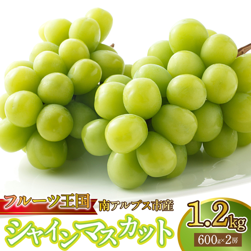 [2026年発送★先行予約][鈴木ぶどう園]山梨県南アルプス市産シャインマスカット約1.2kg(600g×2房) AL
