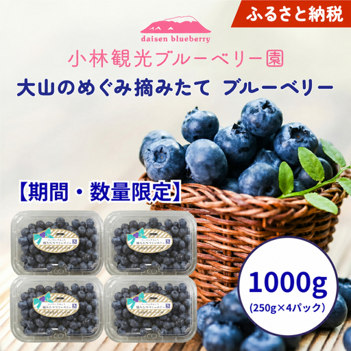 [期間・数量限定]だいせんのめぐみ摘みたてブルーベリー 1kg