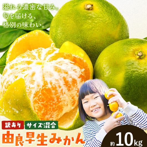 訳あり みかん 由良 早生 みかん ご家庭用 約10kg エイワ商店