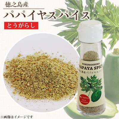 パパイヤスパイス 唐辛子入り1本