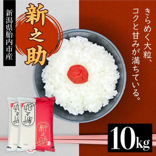 16-S101新潟県胎内市産ちょっと贅沢な新之助10kg（5kg×2袋）