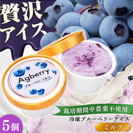 冷凍ブルーベリーアイス(ミルク) 計5個 アイス