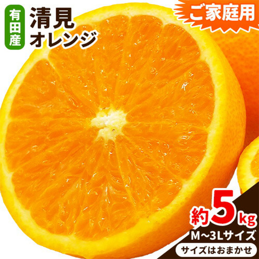 オレンジ ご家庭用 清見オレンジ約5kg