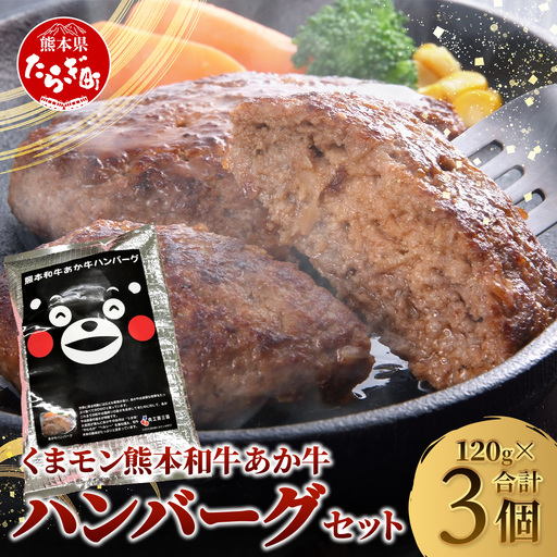 熊本県産 あか牛 100％ ハンバーグ 120g×3個 ＼くまモン パッケージ／ 牛肉 くまモン ハンバーグ あか牛 牛肉 肉 熊本産 国産牛 和牛 うま味 はんばーぐ 熊本県 ギフト 母の日 父の日 お中元 046-0751