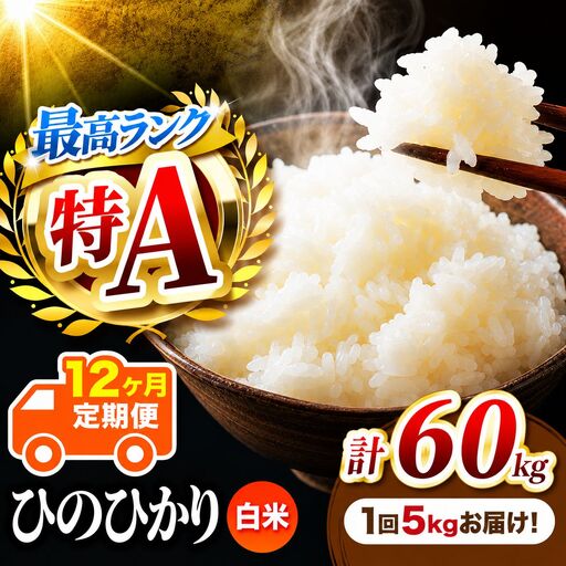 【 定期便 12回 】 熊本県産 白米 ひのひかり 5kg