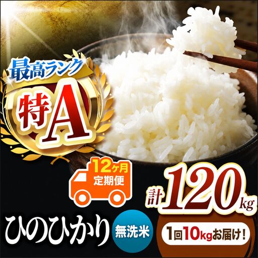 【 定期便 12回 】 熊本県産 無洗米 ひのひかり 10kg