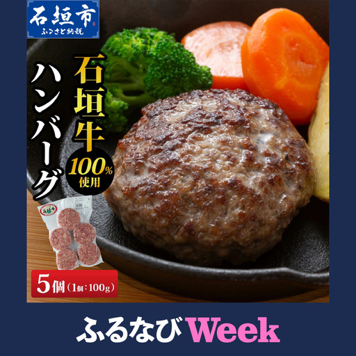 石垣牛ハンバーグ 500g (100g×5個×1パック)