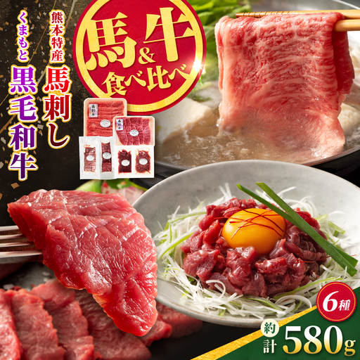 熊本特産馬刺しとくまもと黒毛和牛【藤彩牛】の贅沢食べ比べセット 計約580g【亀井通産株式会社】[AYBQ088]