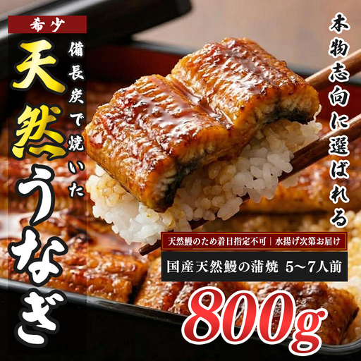希少 天然 鰻 蒲焼 約5-7人前 800g 国産 四万十川 うなぎ ウナギ  蒲焼き ウナギ蒲焼 鰻蒲焼 うな重 備長炭 炭火 炭火焼き 冷凍 湯せん 小分け 贈答 お取り寄せ ギフトご褒美 簡単 土用の丑の日 高知県 大月町
