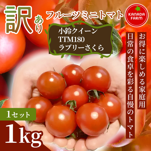 [先行予約][お得に味わえる家庭用]訳ありフルーツミニトマト1kg 1セット 野菜 規格外 お買い得 自宅用 たっぷり まとめ買い 大容量 新鮮 旬 食材 お取り寄せ 愛知県 豊橋市