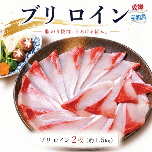 [鰤]ブリ1.5kgこもねっとブリ