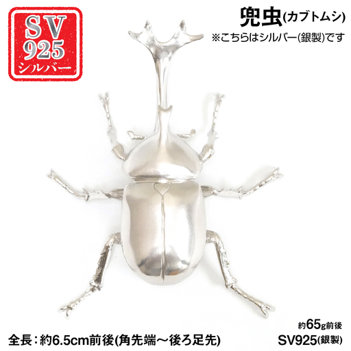 銀製(シルバー925) 兜虫(カブトムシ) AL