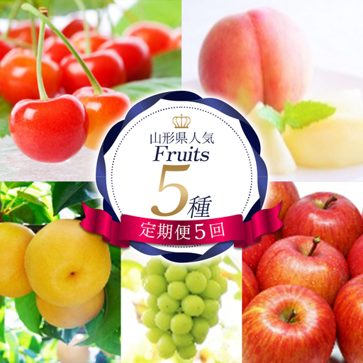 【定期便5回】山形県人気Fruits5種 FSY-2728