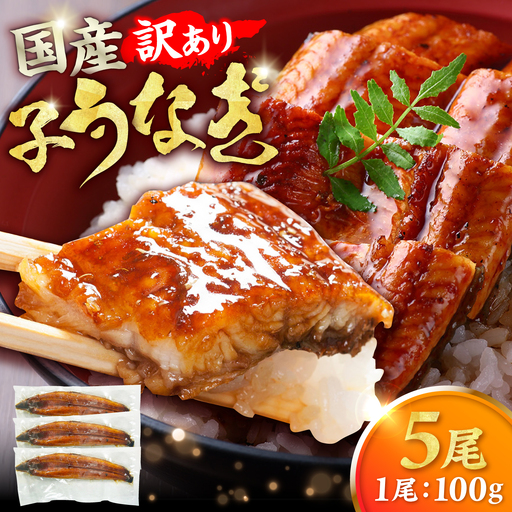【訳あり】国産鰻（100g×5尾） 広川町 / 株式会社イールファクトリー[AFBS036]