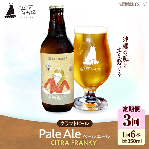 【全3回定期便】-CLIFF BEER- CITRA FRANKY  (ペールエール) 6本入り ビール クラフトビール 350ml 飲み比べ ギフト 沖縄市 / 株式会社クリフクラフト[BCDS010]