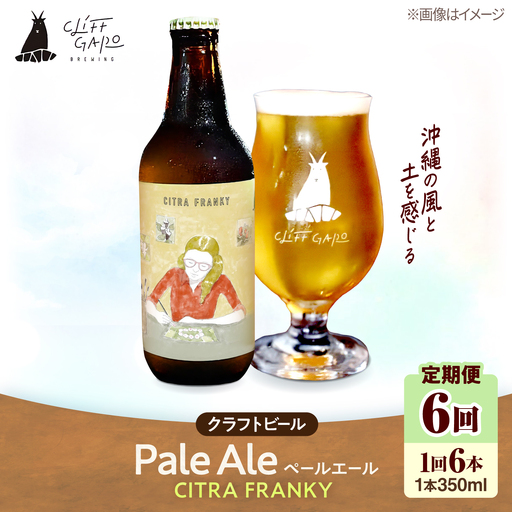 【全6回定期便】-CLIFF BEER- CITRA FRANKY  (ペールエール) 6本入り ビール クラフトビール 350ml 飲み比べ ギフト 沖縄市 / 株式会社クリフクラフト[BCDS011]