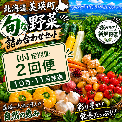 季節の野菜セット[小]定期便 2回便 10月 11月発送 旬野菜 詰め合わせ あらいふぁーむ