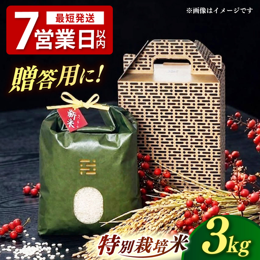 とくべつ の中の とくべつ  特別栽培米 夢つくし 3kg 【築上町】 / itoshimacco / 株式会社やました[ABEX001]
