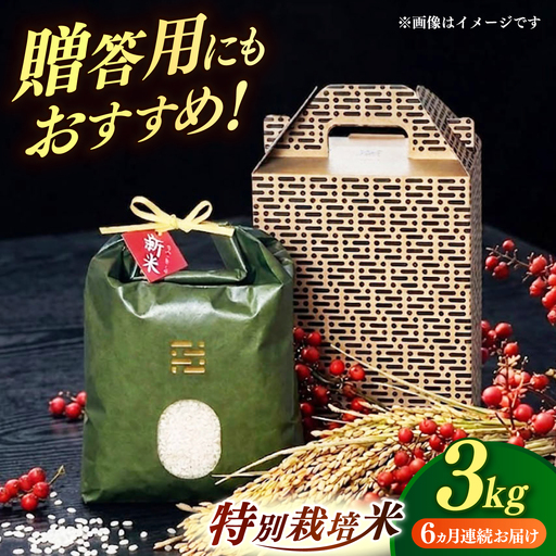 【全6回定期便】 とくべつ の中の とくべつ  特別栽培米 夢つくし 3kg 【築上町】 / itoshimacco / 株式会社やました[ABEX003]