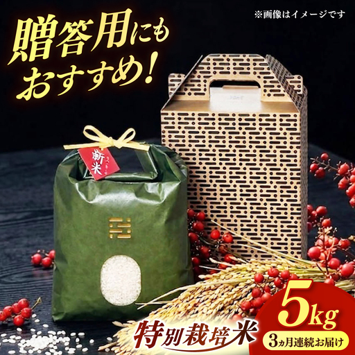 【全3回定期便】とくべつの中のとくべつ  特別栽培米  夢つくし 5kg 【築上町】 / itoshimacco / 株式会社やました[ABEX006]