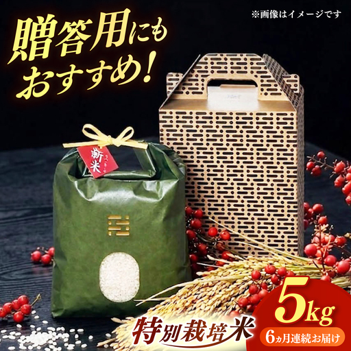 【全6回定期便】 とくべつ の中の とくべつ  特別栽培米  夢つくし 5kg 【築上町】 / itoshimacco / 株式会社やました[ABEX007]