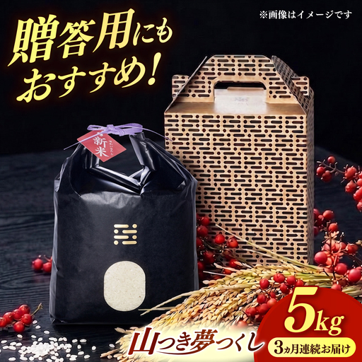【全3回定期便】農薬 を使わずに育てた 山つき   夢つくし 5kg【築上町】 / itoshimacco / 株式会社やました[ABEX014]