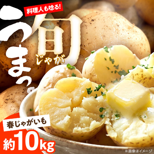 【2027年5月-発送】じゃがいも 約10kg 馬鈴薯 春じゃが / ジャガイモ ばれいしょ 野菜 やさい 芋 / 南島原市 / 株式会社松尾青果[SGU002]