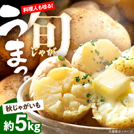 じゃがいも 約5kg 馬鈴薯 秋じゃが / ジャガイモ ばれいしょ 野菜 やさい 芋 / 南島原市 / 株式会社松尾青果[SGU003]