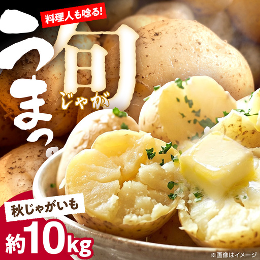 じゃがいも 約10kg 馬鈴薯 秋じゃが / ジャガイモ ばれいしょ 野菜 やさい 芋 / 南島原市 / 株式会社松尾青果[SGU004]