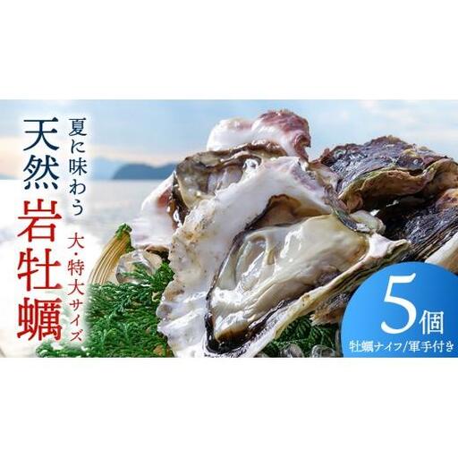 天然・生食可 大・特大サイズ 岩牡蠣 5個 瀬戸内産 [ナイフ・軍手付き] 産地直送