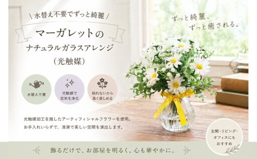 水替え不要でずっと綺麗 マーガレットのナチュラルガラスアレンジ ( 光触媒 ) インテリア リビング 玄関 寝室 お花 花 ハンドメイド ギフト 記念日 プレゼント 贈り物 癒し 綺麗 花瓶 ガラスアレンジ ガラス花瓶 マーガレット