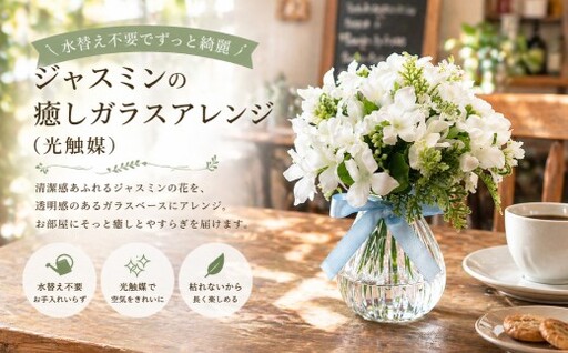水替え不要でずっと綺麗 ジャスミンの癒しガラスアレンジ ( 光触媒 ) インテリア リビング 玄関 寝室 お花 花 ハンドメイド ギフト 記念日 プレゼント 贈り物 癒し 綺麗 花瓶 ガラスアレンジ ガラス花瓶 ジャスミン