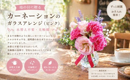 母の日に贈る カーネーションのガラスアレンジ ( 水替え不要 ・ 光触媒 ) ピンク インテリア リビング 玄関 寝室 お花 花 ハンドメイド ギフト 記念日 プレゼント 贈り物 癒し 綺麗 花瓶 ガラスアレンジ ガラス花瓶 カーネーション