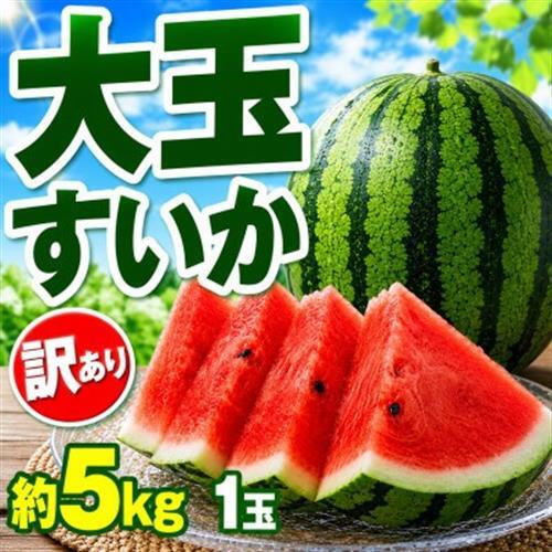 [訳あり] 大玉すいか 5kg 1玉(益城町)[配送不可地域:離島]