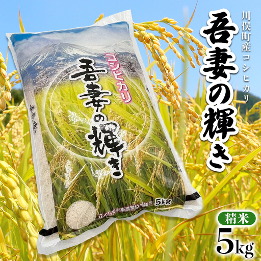 川俣町産 吾妻の輝き コシヒカリ 5kg 精米