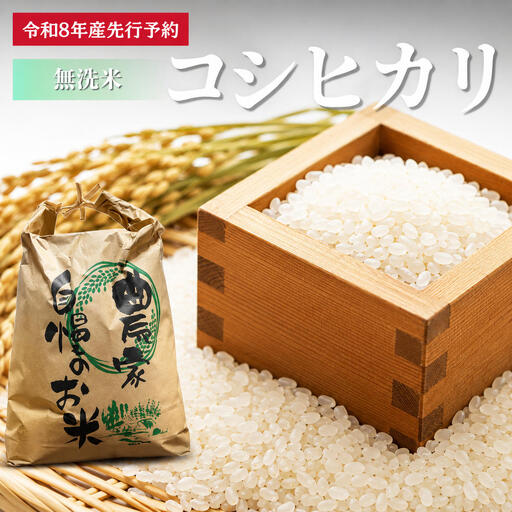 コシヒカリ 無洗米 5kg 令和8年産 新米 コシヒカリ