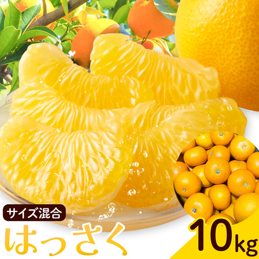 はっさく サイズ混合 10kg エイワ商店