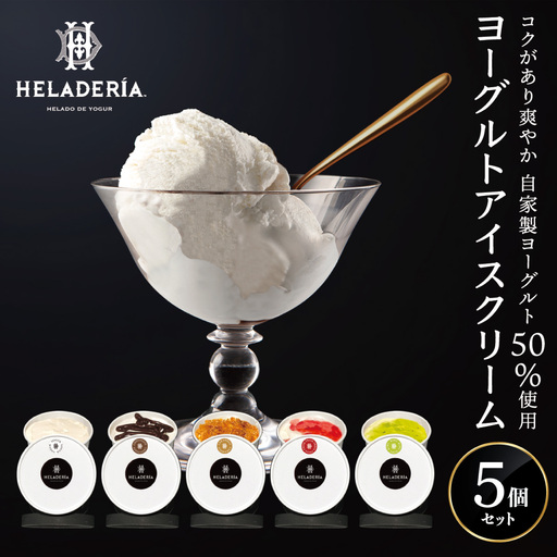 アイスセット 5個 CINCO SABORES(シンコ サボーレス) アイス 洋菓子 スイーツ 岐阜市 / ワーク[ANJF004]