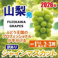 《訳あり》でも誇れる美味しさ 【シャインマスカット】 1.0kg以上（２～3房） 【2026年発送分 先行予約】- FUJIKAWA GRAPES -　 嬉しい満足感