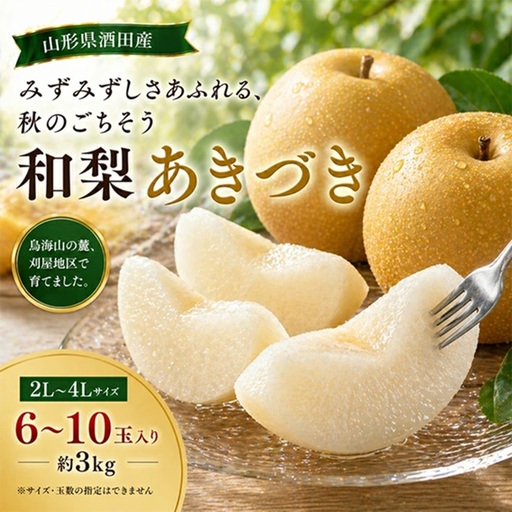 SA2990　刈屋梨　あきづき　約3kg(6～10玉入)