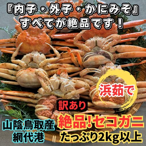 [訳あり]浜茹で!絶品セコガニ2kgセット|鳥取網代港 岩美 松葉がに ずわいがに かに ※お届けは2026年11月中旬〜[さかなや新鮮組][22102]
