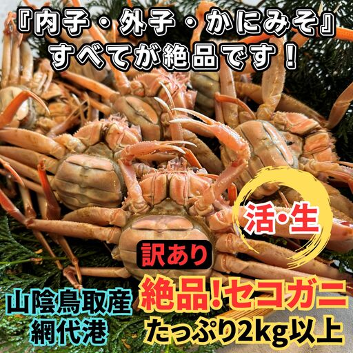 [訳あり]活!絶品セコガニ2kgセット|鳥取網代港 岩美 松葉がに ずわいがに かに ※お届けは2026年11月中旬〜[さかなや新鮮組][22103]