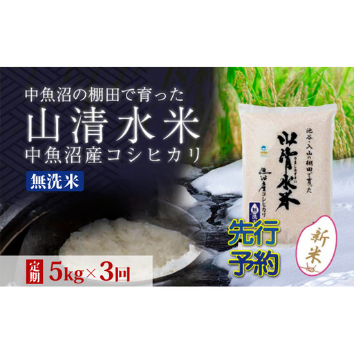 【令和8年産 先行予約】【定期便／全3回】無洗米5kg 新潟県魚沼産コシヒカリ「山清水米」