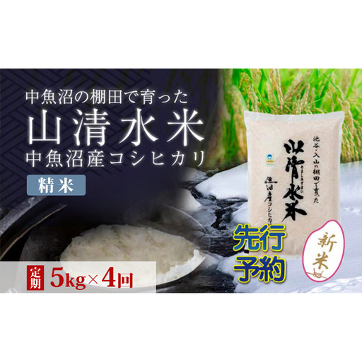 【令和8年産 先行予約】【定期便／全4回】精米5kg 新潟県魚沼産コシヒカリ「山清水米」