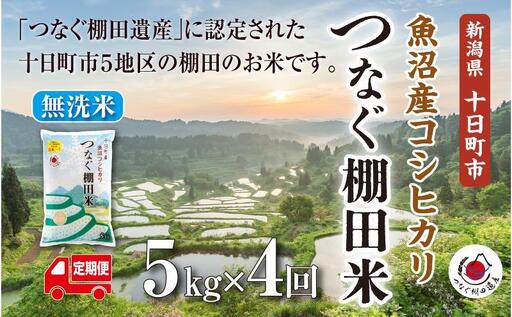 【令和8年産 先行予約】【定期便／全4回】無洗米5kg　新潟県十日町市魚沼産コシヒカリ「つなぐ棚田米」  米 こしひかり 無洗米 定期 十日町市