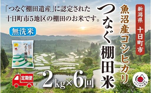 【令和8年産 先行予約】【定期便／全6回】無洗米2kg　新潟県十日町市魚沼産コシヒカリ「つなぐ棚田米」  米 こしひかり 無洗米 定期 十日町市