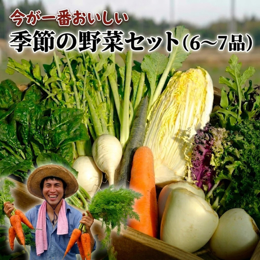 季節の野菜セット(6〜7品)